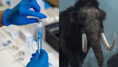 DSÖ’den “mamut çiçeği” tatbikatı: Buzlar çözülüyor, virüsler uyanıyor