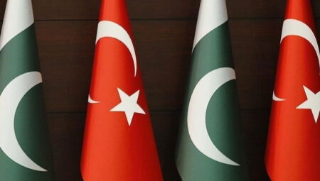 Hindistan-Pakistan tansiyonu: Türkiye nasıl bir siyaset izliyor?