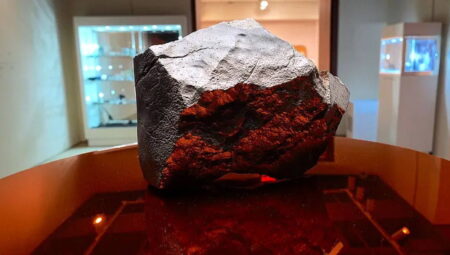 Mars’tan, Dünya’ya düşen en büyük meteorit açık artırmada