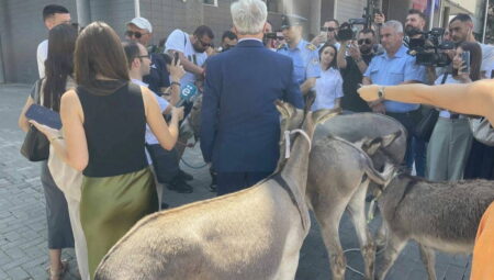 Meclis liderinin seçilememesi ‘eşeklerle’ protesto edildi