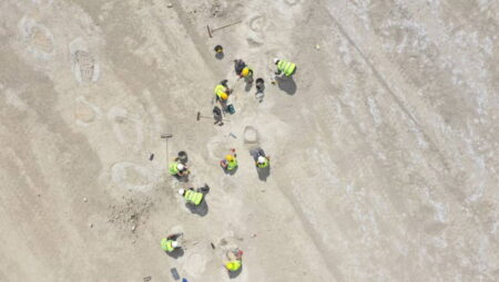 166 milyon yıl öncesine ilişkin dinozor ayak izleri keşfedildi
