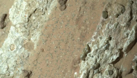 Mars’ın ‘leopar desenli’ kayalarında geçmiş ömrün izleri bulunmuş olabilir