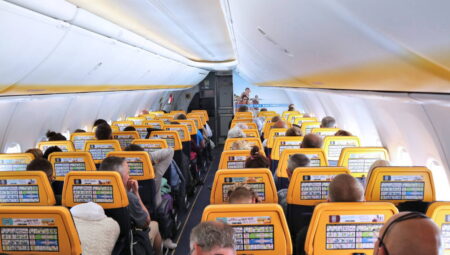 Yolcu pasaportunu yedi, uçak zarurî iniş yaptı